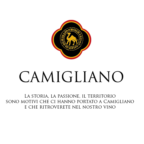 Camigliano