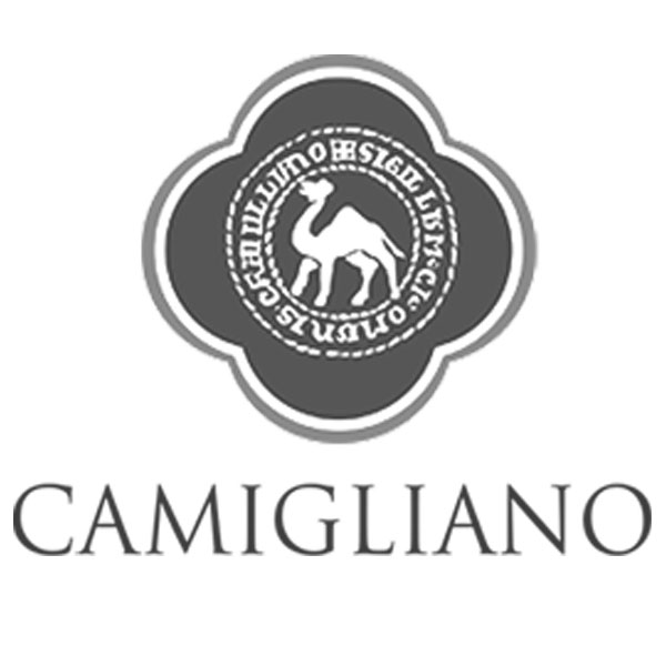 Camigliano